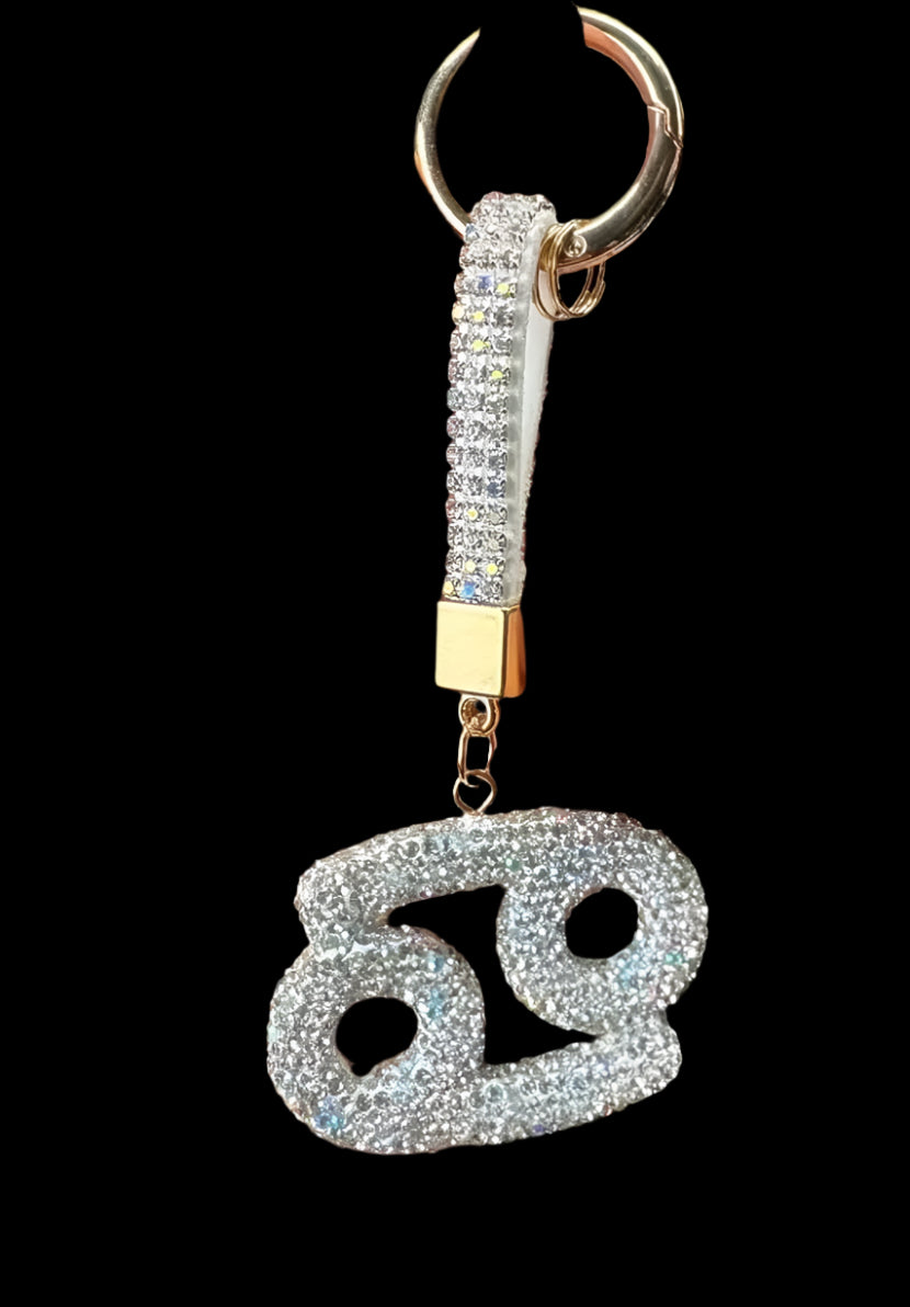 Zodiac Sign Charms