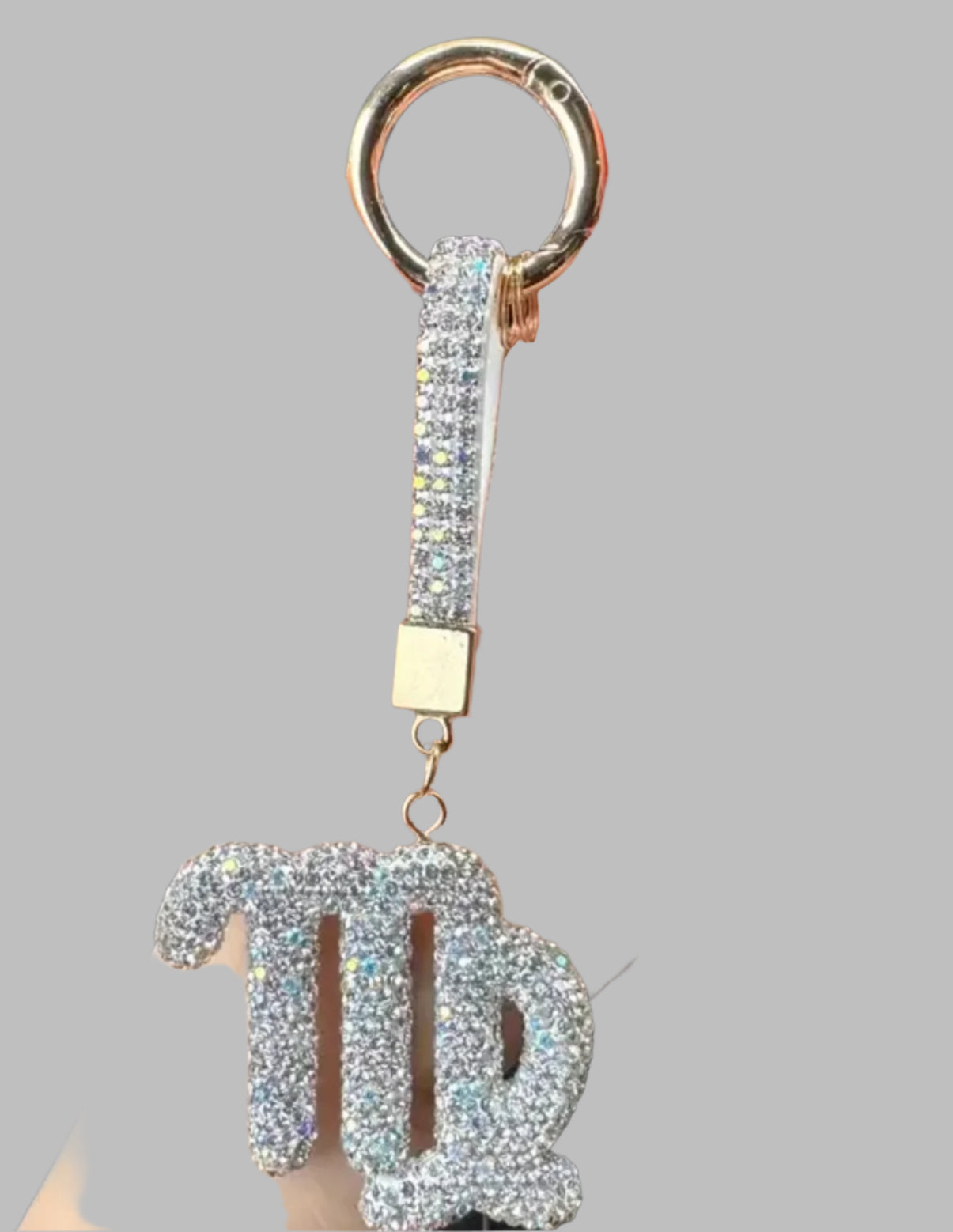 Zodiac Sign Charms