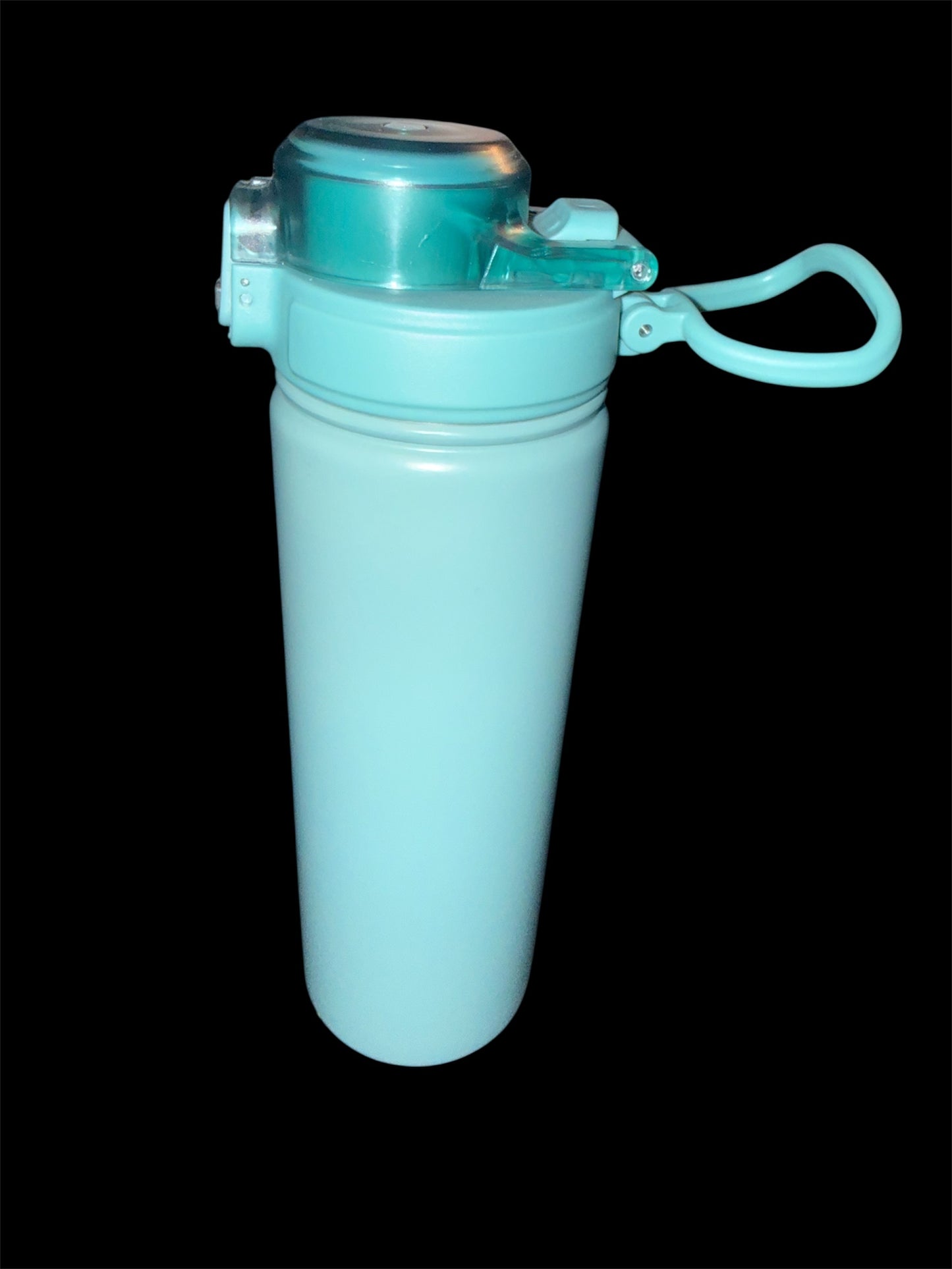 24oz Stainless Steel Water Bottle w. Straw