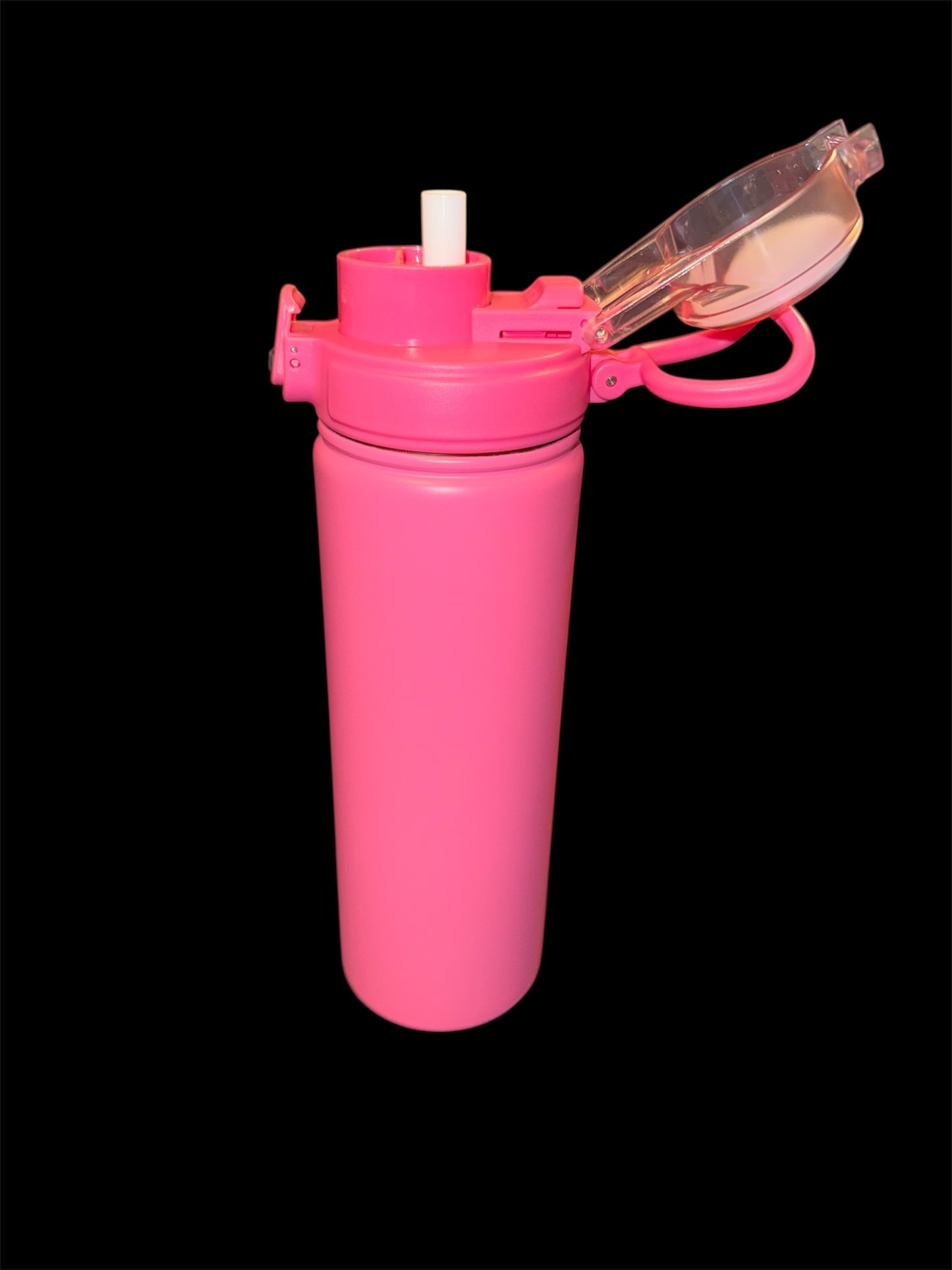 24oz Stainless Steel Water Bottle w. Straw