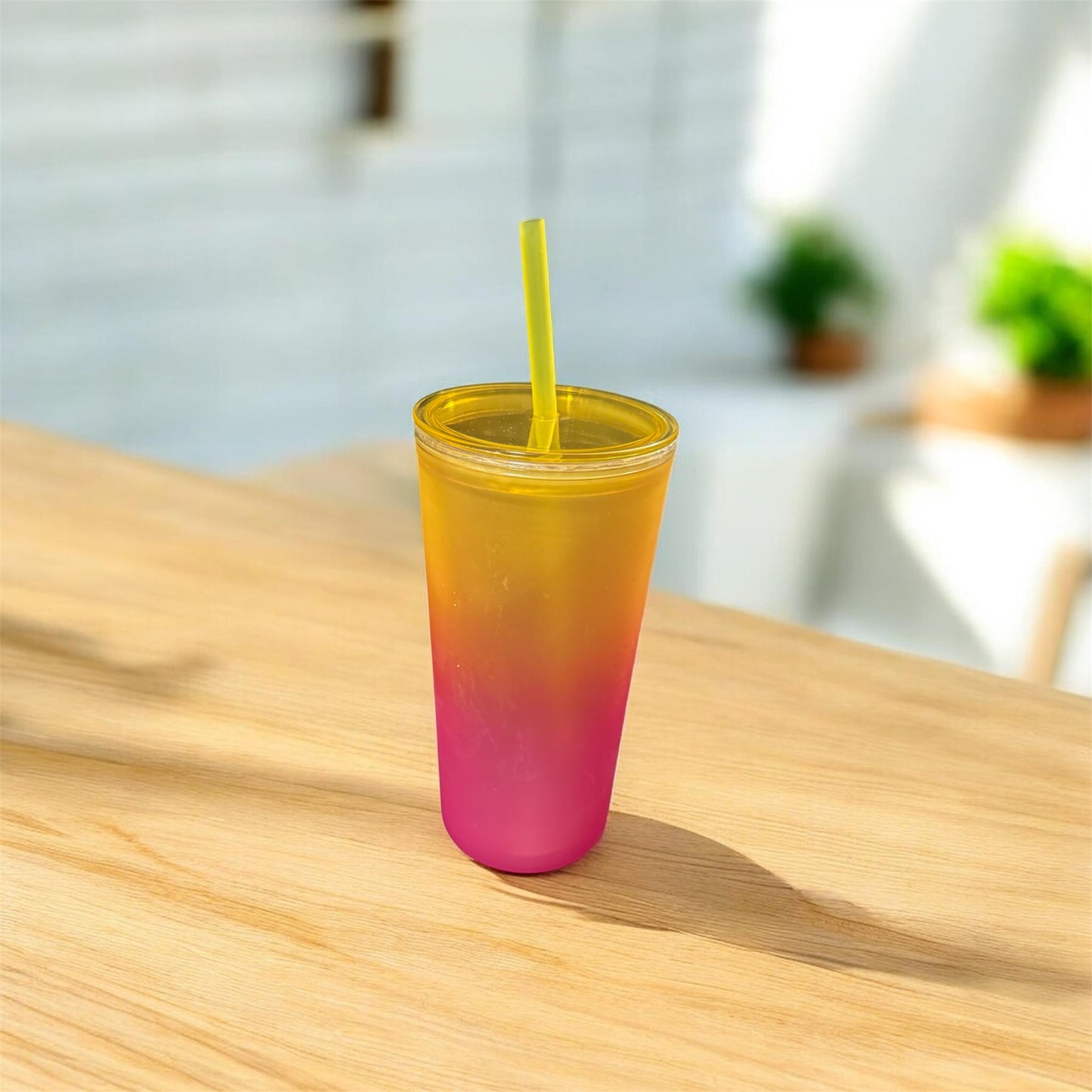 Plastic Ombre (20oz.)